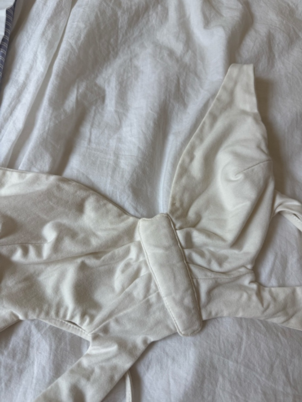 Butterfly Cropped Top - Picture 3 of 3